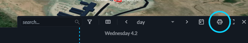 Print view icon